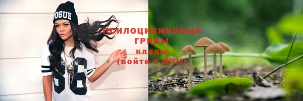гидра Лабытнанги