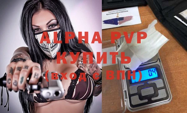 индика Мурманск