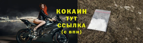сатива Рославль
