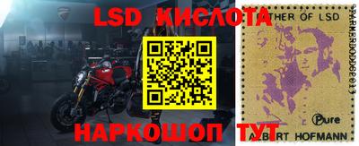 хмурый Жуковский