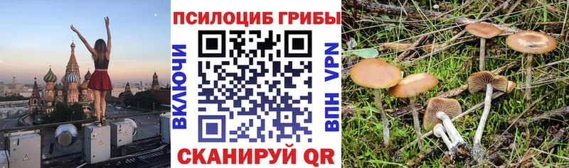 Галлюциногенные грибы Cubensis  Янаул 