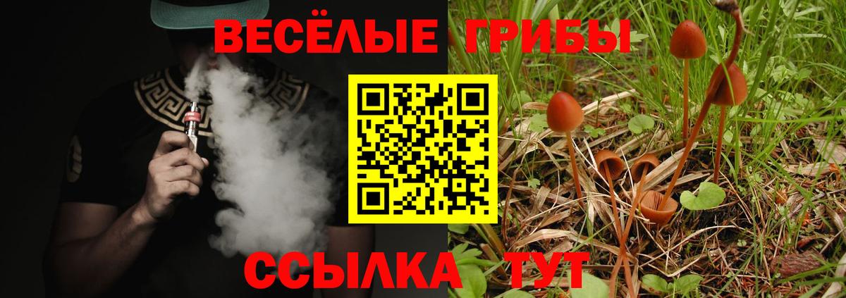 Псилоцибиновые грибы Magic Shrooms Янаул
