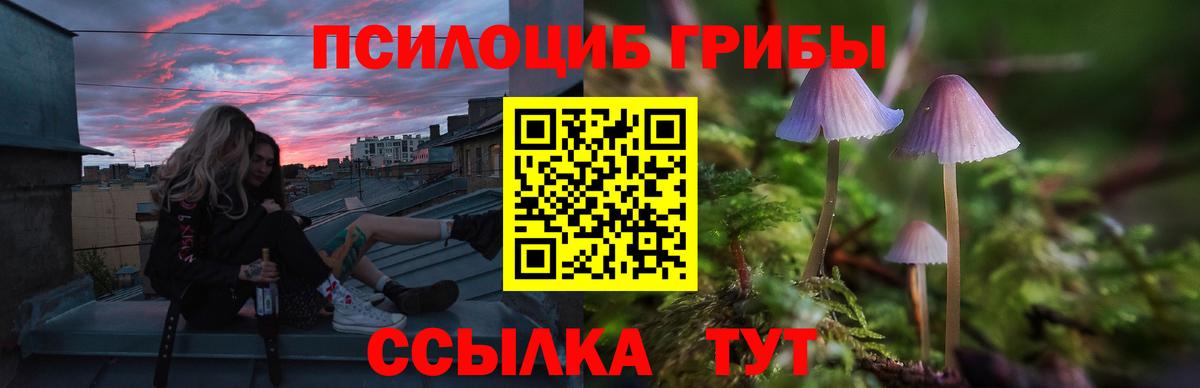 Псилоцибиновые грибы мицелий  Вход с VPN  Янаул  Галлюциногенные грибы прущие грибы 
